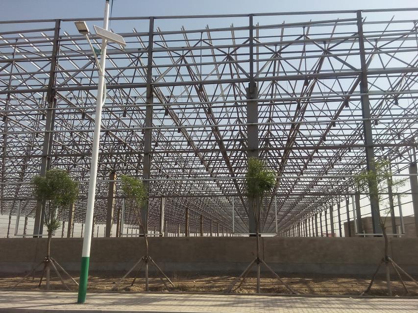 辛集汽車工業(yè)廠房網(wǎng)架
